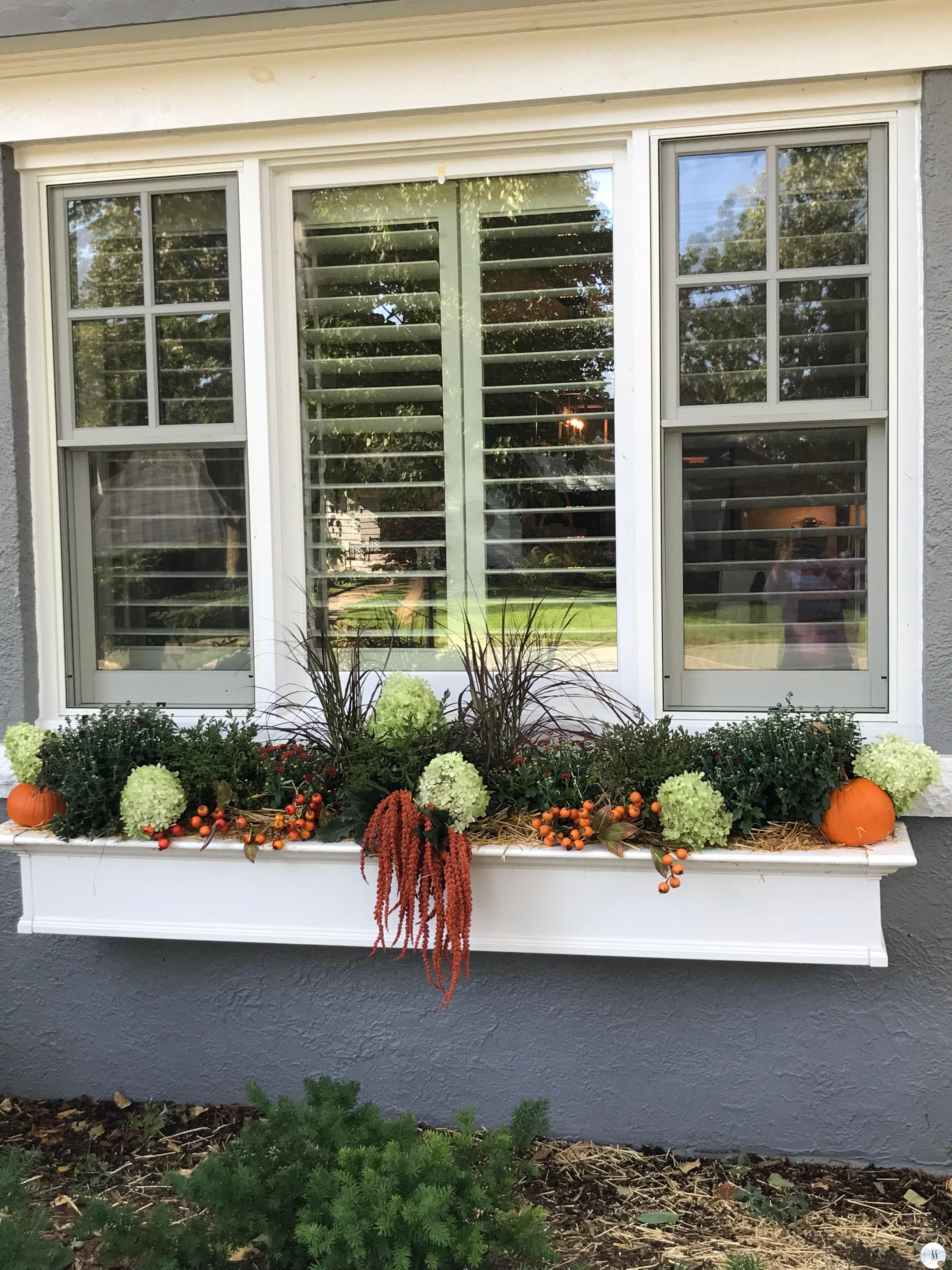 Fall decor, happy thanksgiving, mums, pumpkins, outdoor decor, better home and garden, garden decor