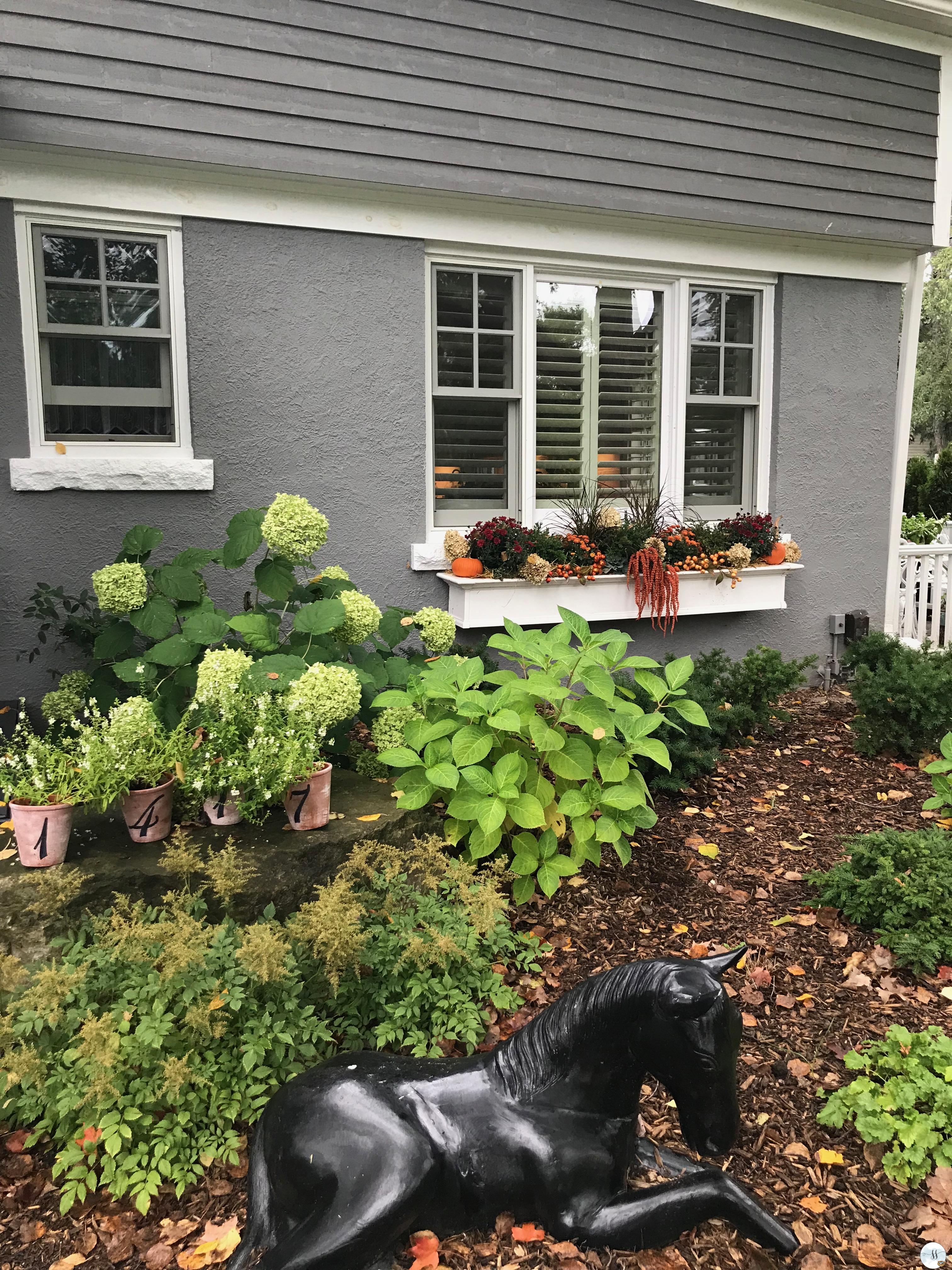 fall decor, fall gardens, fall window boxes, fall plants,